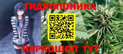 индика Мариинск