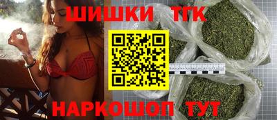 индика Мариинск